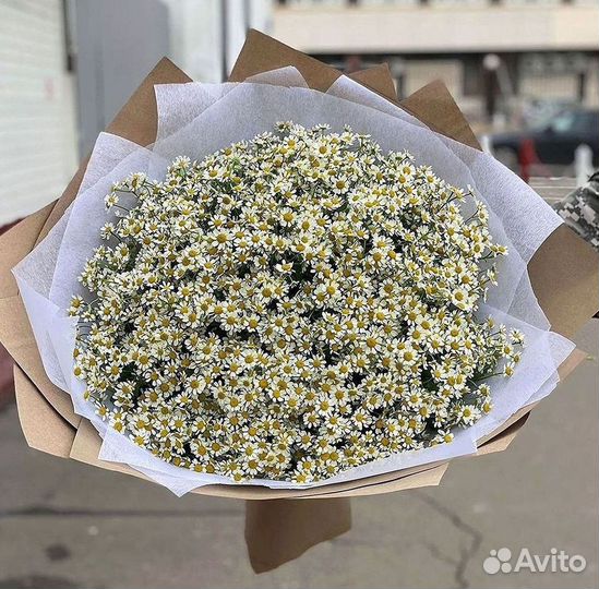 Ромашки Пионы Розы Доставка