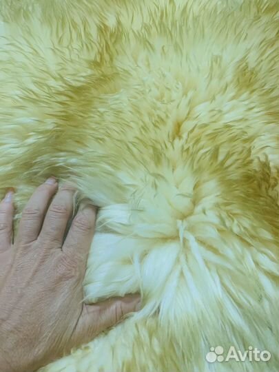 Новозеландская овчина