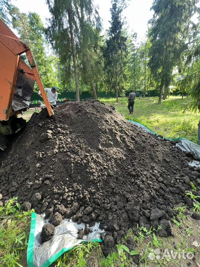 Чернозем. Плодородный грунт. Навоз