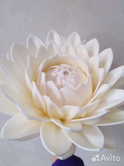 Цветочный ночник