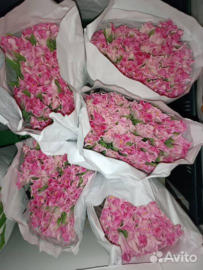 Тюльпаны к 8 марта