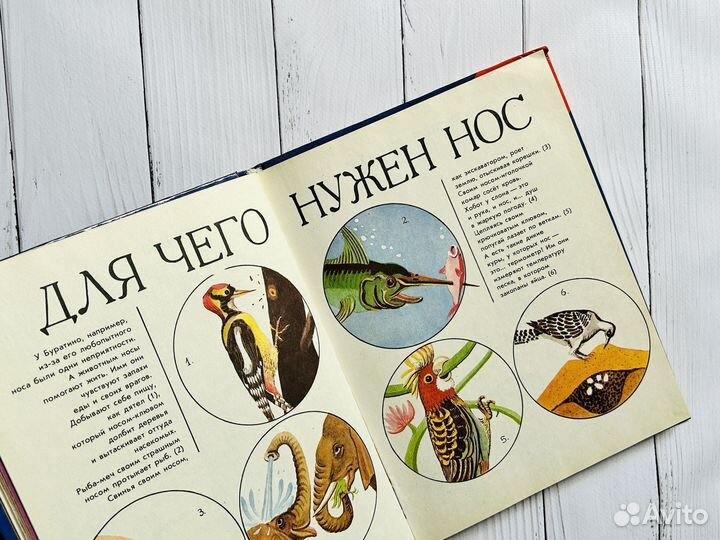 Букварёнок. Г. Юдин (1992)