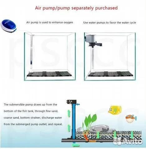 Наяс, фильтры, губка, Полиптерус Синегальский