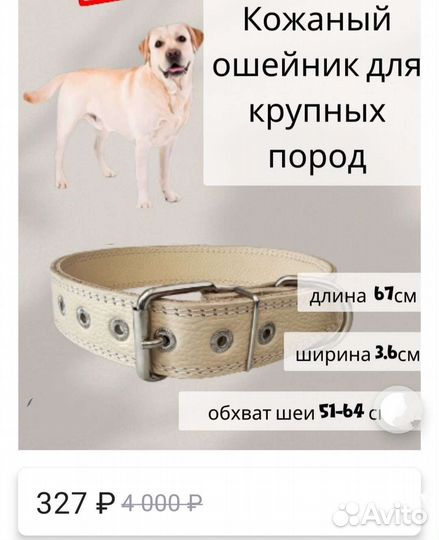 Ошейник для крупной собаки