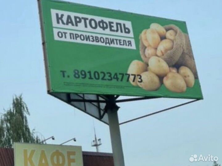 Картофель от Производителя урожай 2023