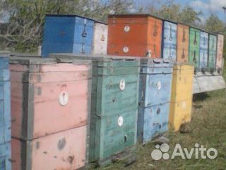 Улей для пчел б/у