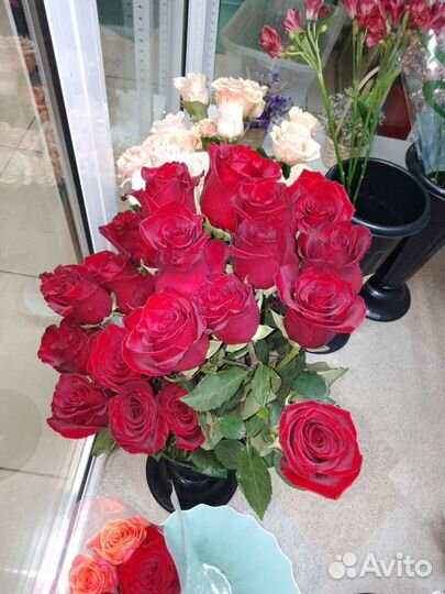 Хризантемы