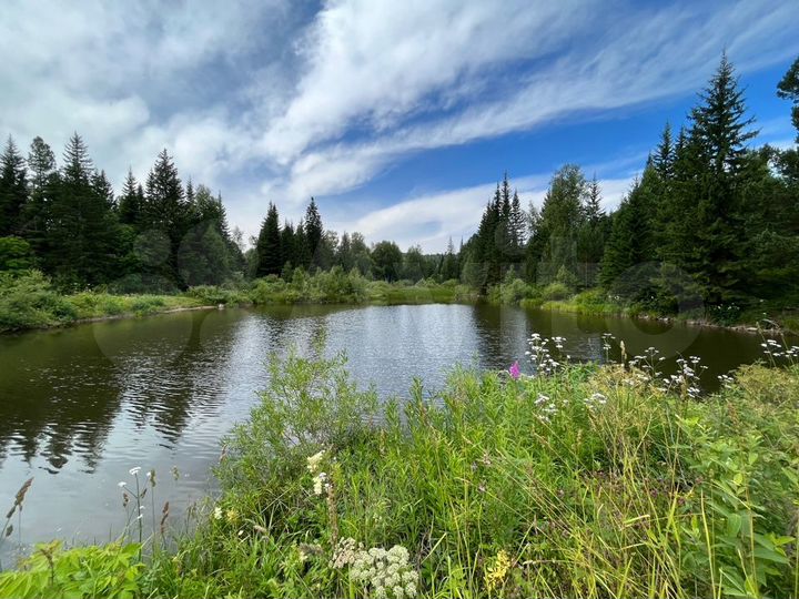 Дача 25 м² на участке 12 сот.