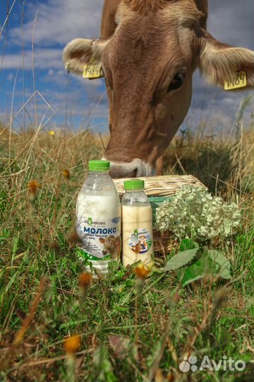 Фермерские продукты из Марий Эл доставка до двери