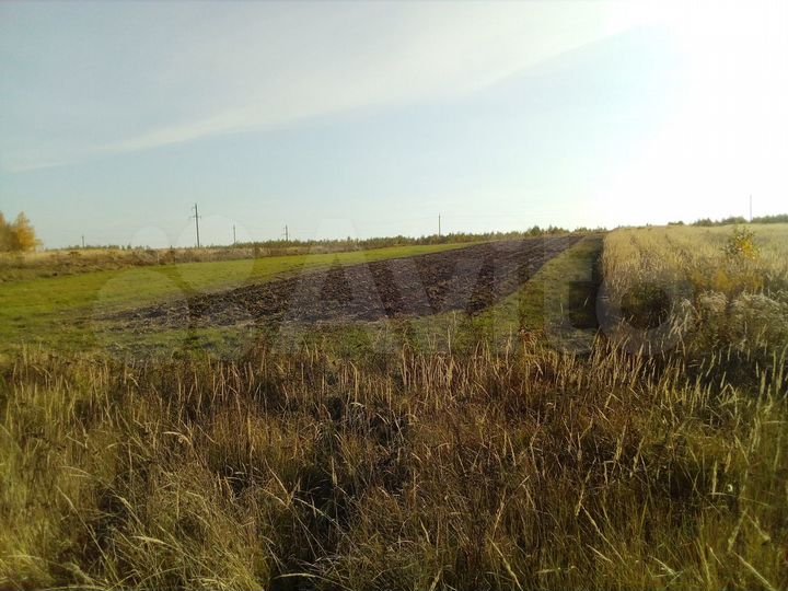 Участок 20 сот. (ИЖС)