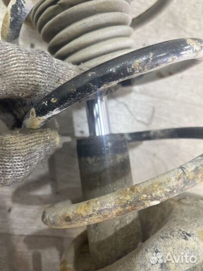 Амортизатор передний правый Ford Focus