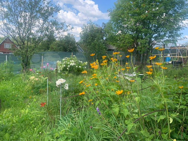 Дача 48 м² на участке 4,5 сот.