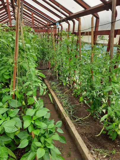 Дом 88 м² на участке 12 сот.