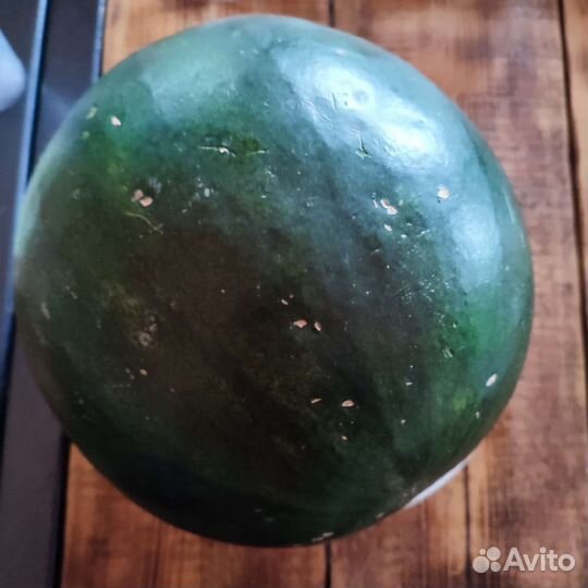 Профессиональные семена гибридов арбуза и дыни