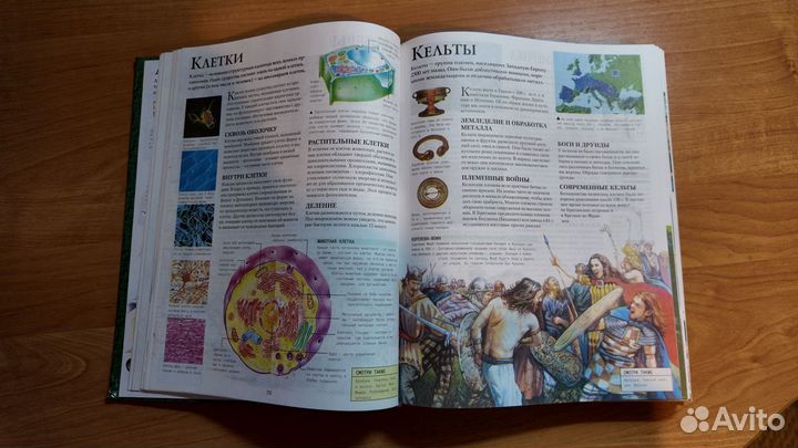 Большая иллюстрированная энциклопедия школьника