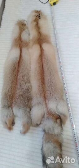 Шкуры лисы