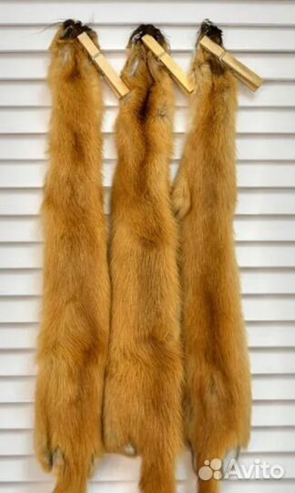 Шкура Шкурка Колонка Выделанная