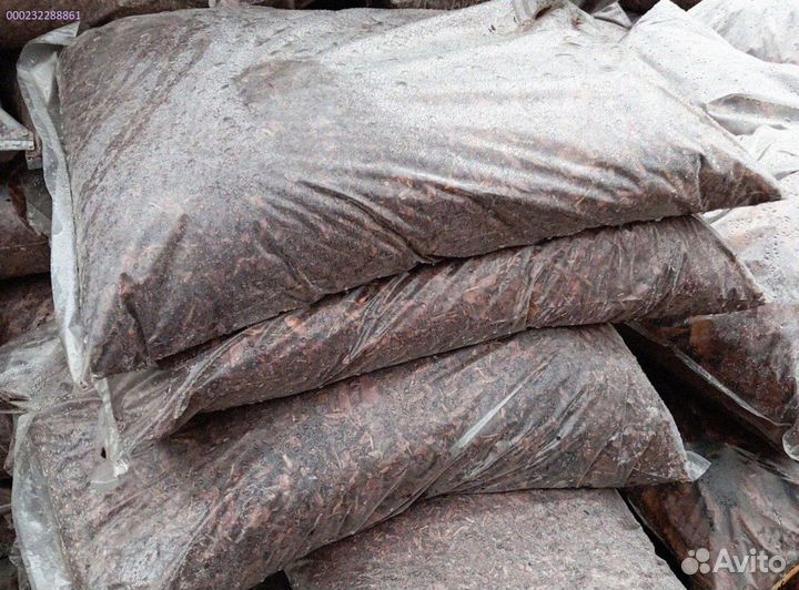 Природа лиственницы: сила коры