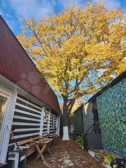 Дом 230 м² на участке 6,5 сот.