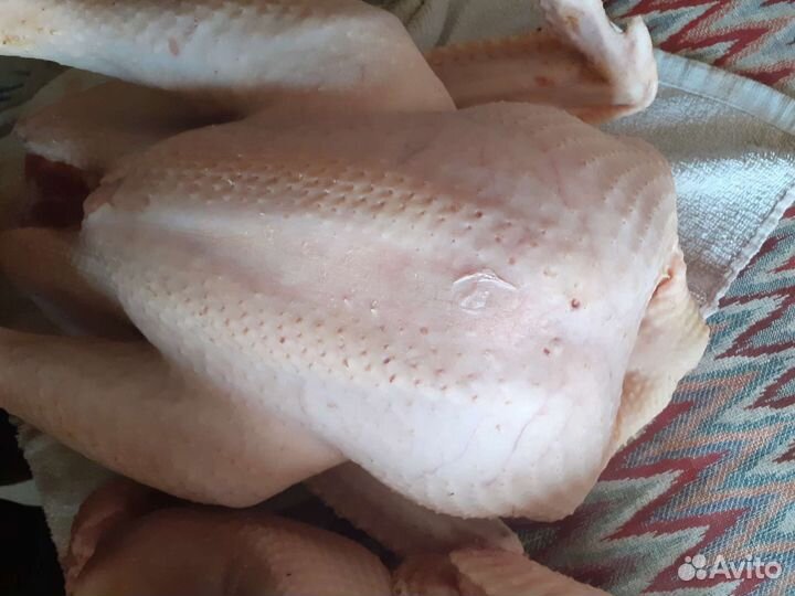 Мясо домашней индейки