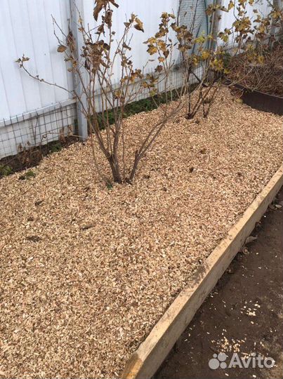 Щепа мульча. Щепа древесная из лиственных пород