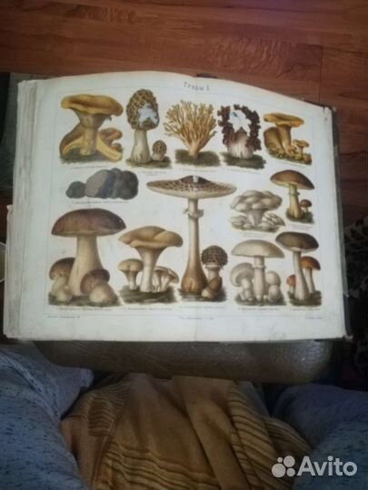 Старинные антикварные книги