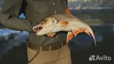 Call of the Wild: The Angler PS4/PS5 на русском