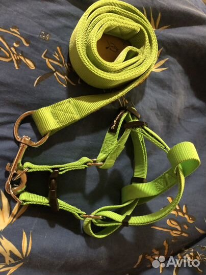 Поводок.Израиль.Новый. Pet Project. Мощный.S