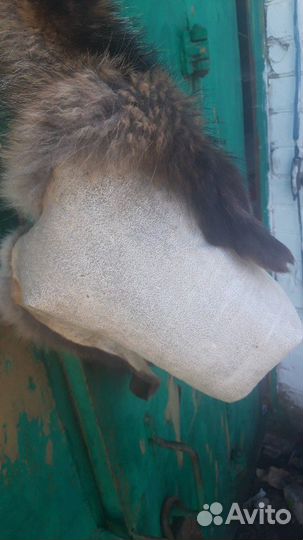 Выделка шкур