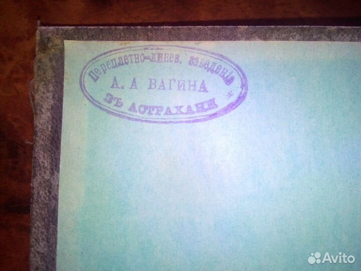 Салтыковъ-Щедринъ 1892г