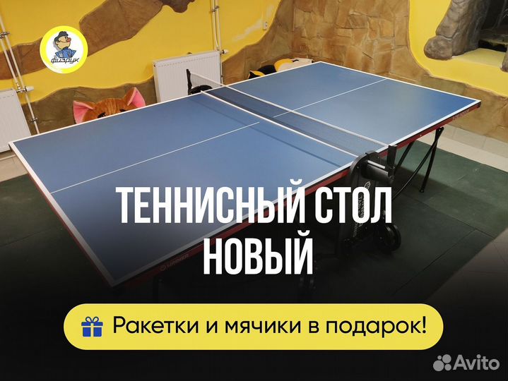 Стол для пинг-понга c подарком
