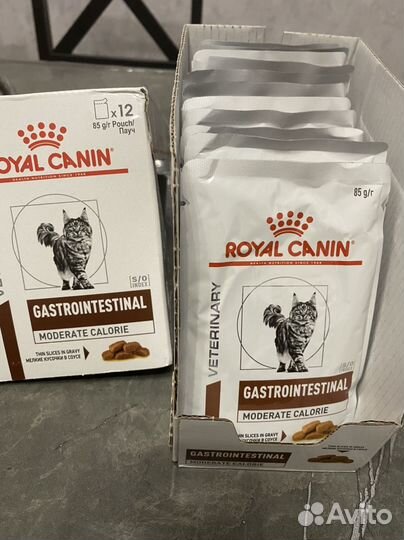 Корм для кошек royal canin
