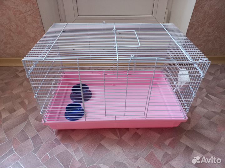 Клетка для грызунов бу