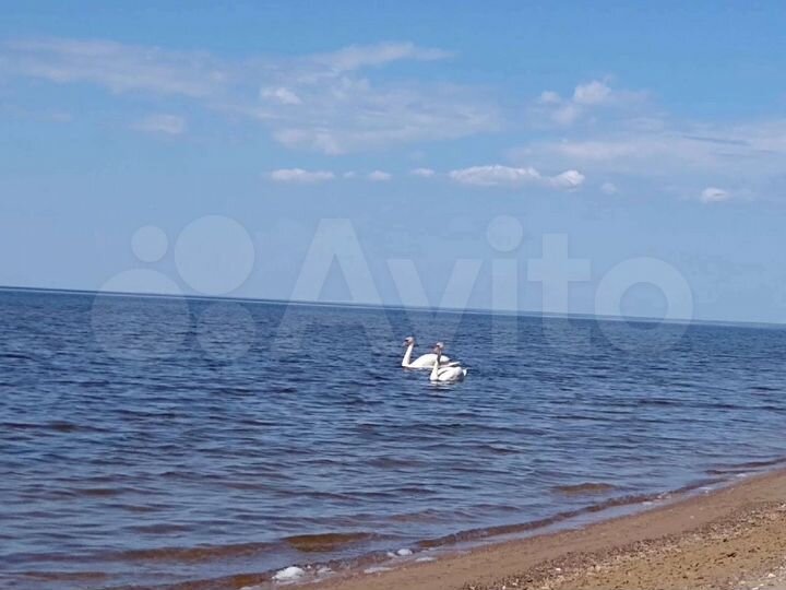 Участок 15 сот. (СНТ, ДНП)