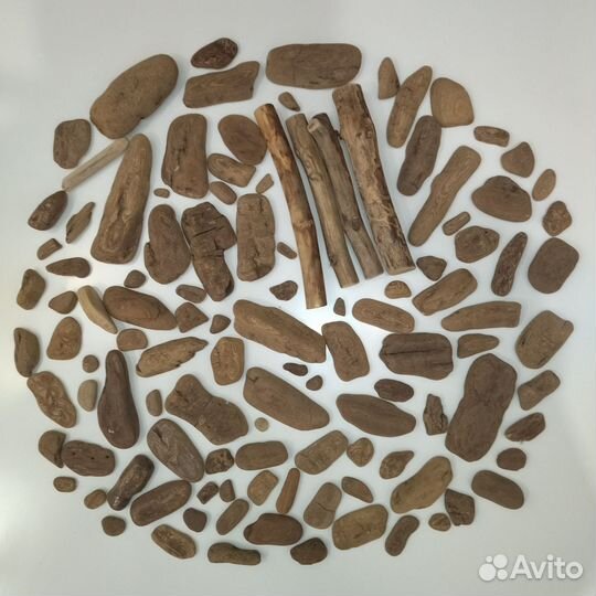 Дрифтвуд. Морское дерево