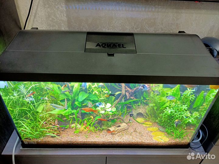 Аквариум