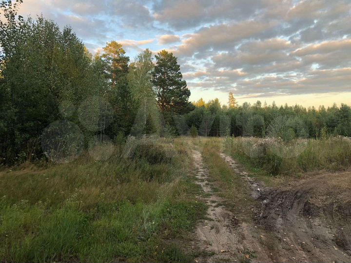 Участок 27 сот. (СНТ, ДНП)