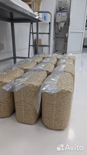 Ядро кедрового ореха