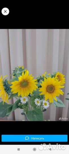 Букет из подсолнухов