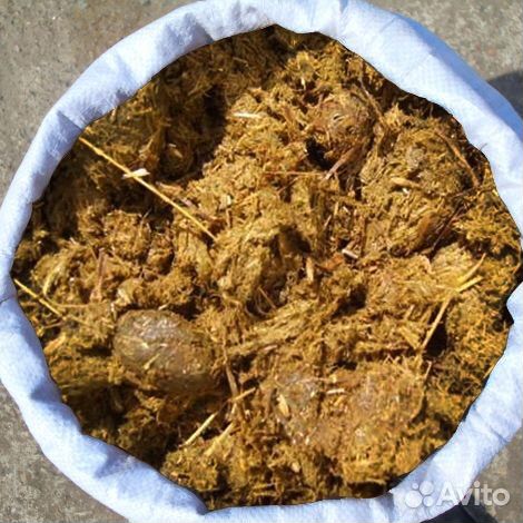 Пергной конский удобрения