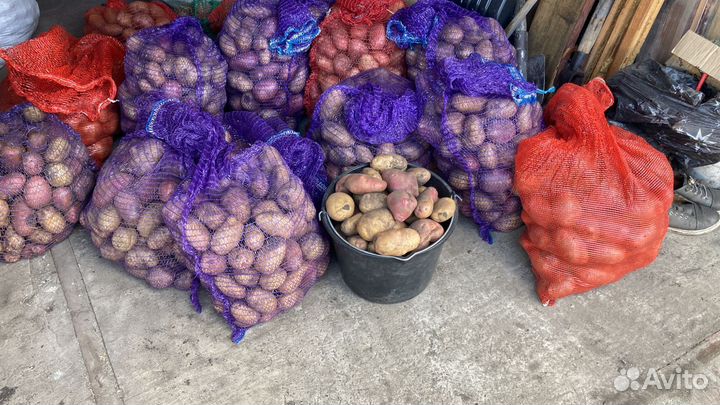 Продам картофель
