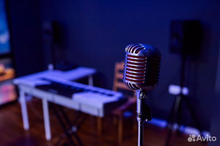 Уроки профессионального эстрадного вокала