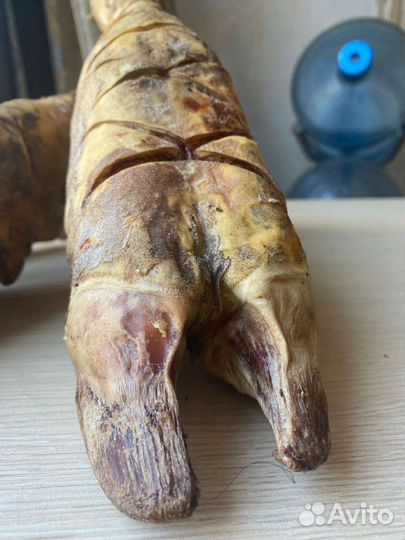 Вкусняшки для собак