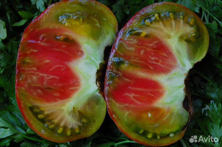 Семена редких сортов томатов и перцев