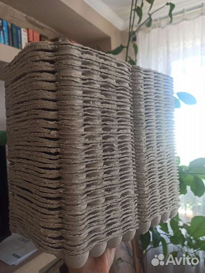 Ячейки для перепелиных яиц