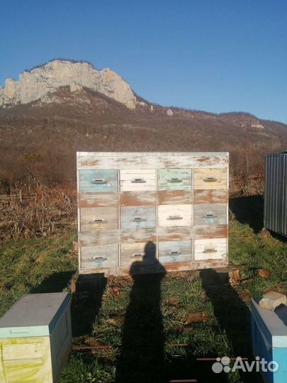 Пчелопавильон