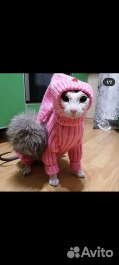 Одежда на сфинкса