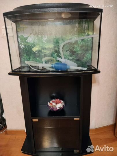 Аквариум
