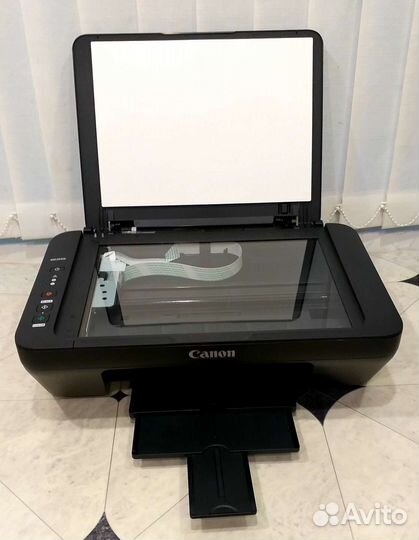 Поинтер цветной canon