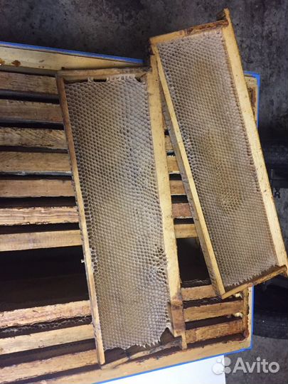 Рамки с сушью